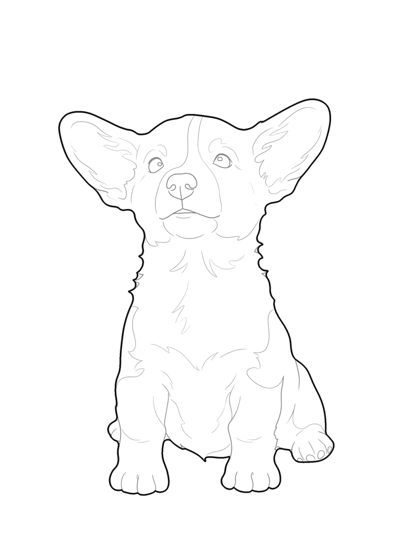 Dibujo de línea de un cachorro de corgi sentado, alzado frontal