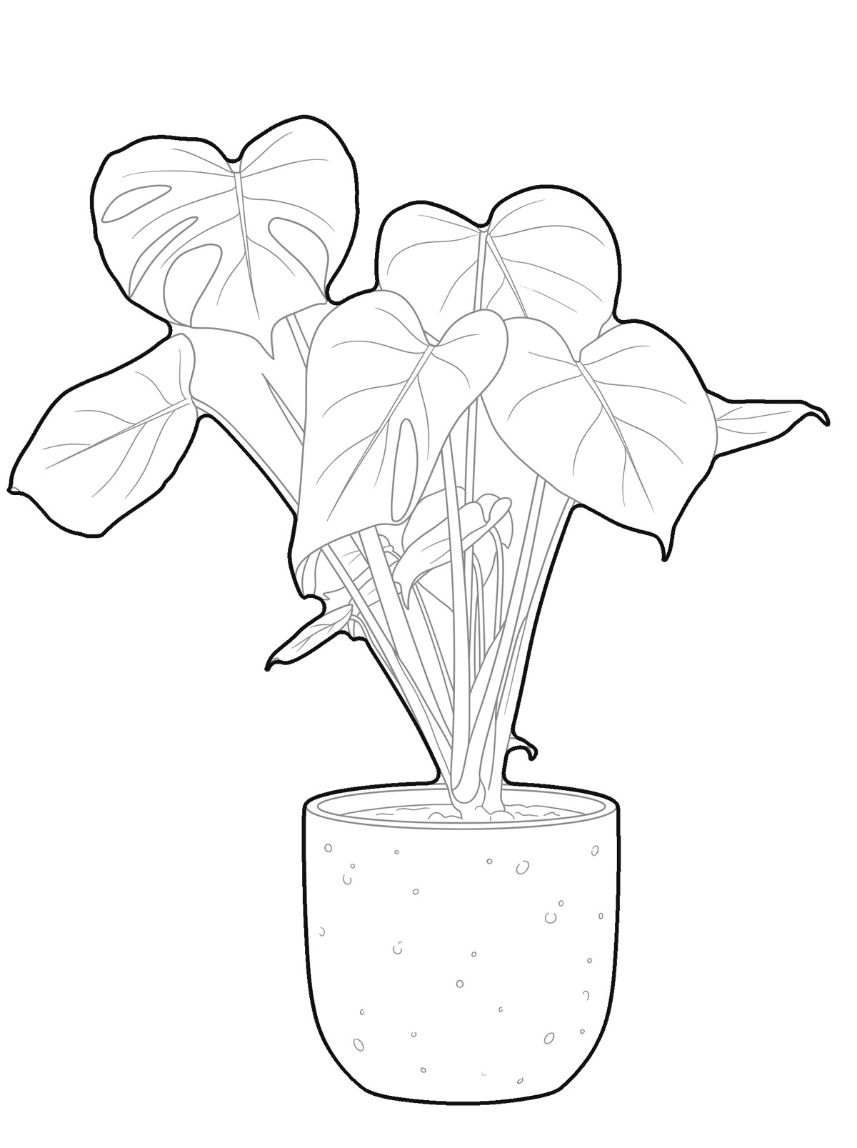 Una monstera en una maceta