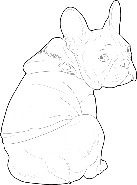 Un bulldog francés con sudadera, sentado y mirando hacia atrás, dibujado como bloque de línea