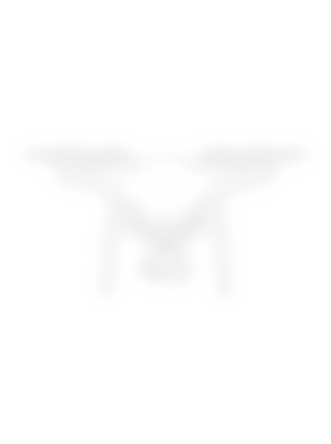 Dji Phantom Drone - Front, frontal