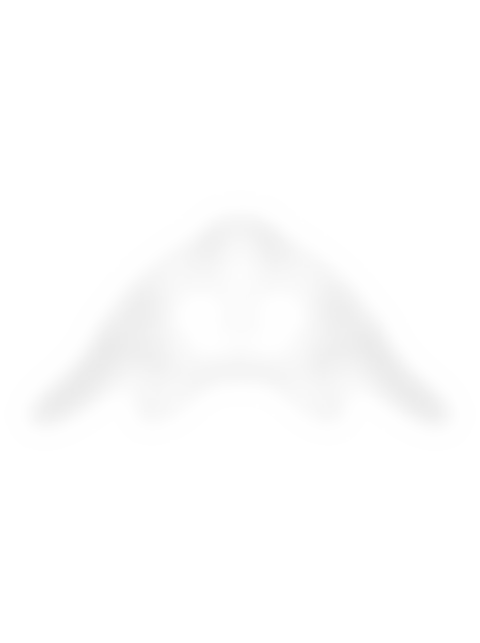 Green Sea Turtle