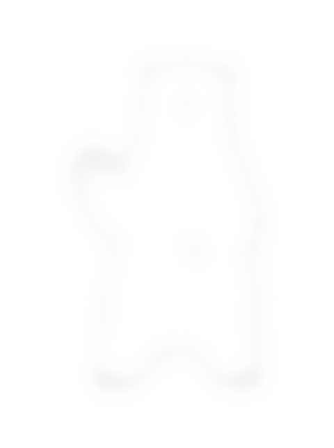 Nice Bear waving, line drawing CAD block (Animals)