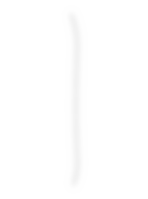 Ride Snowboard - Front, lateral