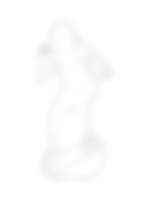 Woman Exercising On Bosu Ball - Front, frontal, line drawing CAD block (People)