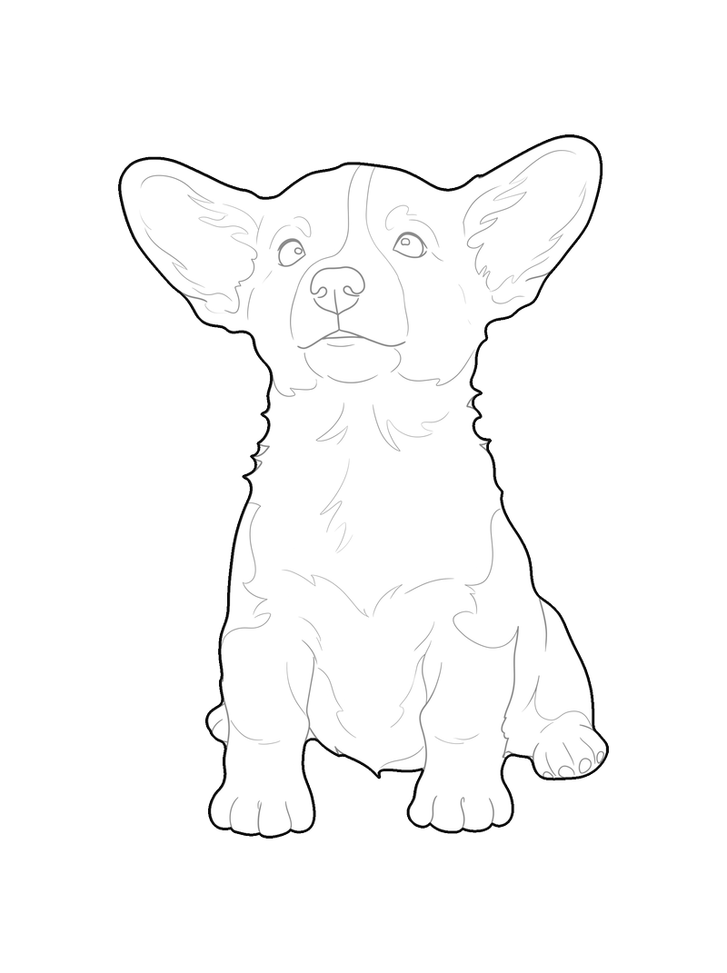 Line drawing of a corgi puppy sitting, front elevation