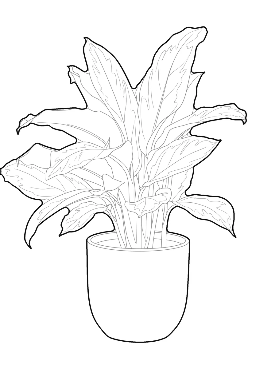 Before and after: a potted plant turned into an embroidery-ready line outline